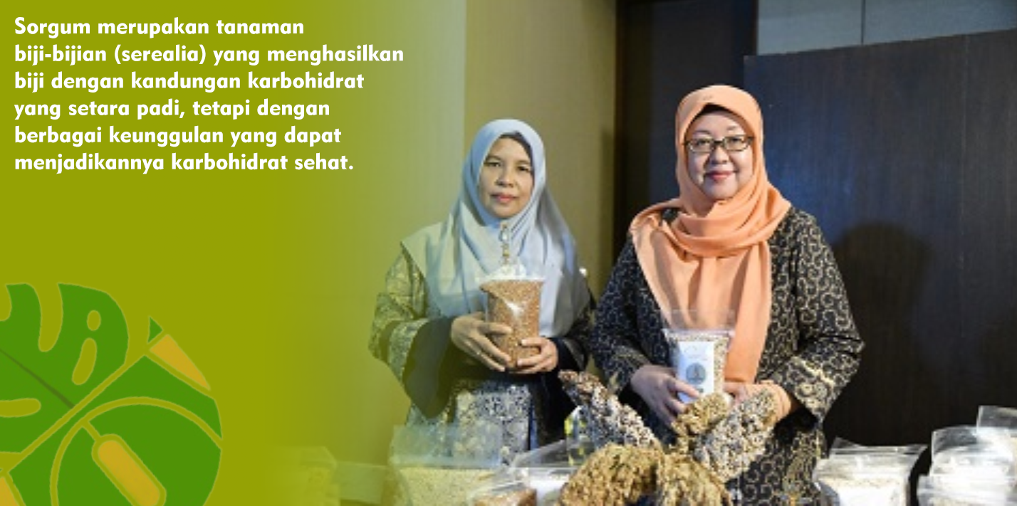 Bantu Atasi Masalah Gizi Ganda di Indonesia, Beras Sorgum Kaya Akan Manfaat